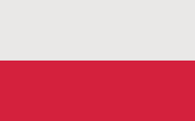 Wybory prezydenta Polski 2020